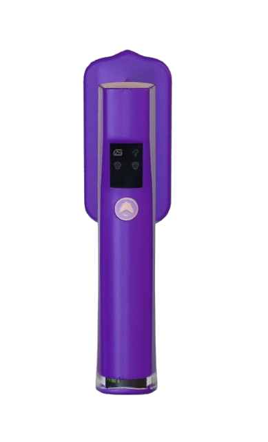 GoLiss défroisseur vapeur 2-en-1 vue 3D — défroisseur portable voyage